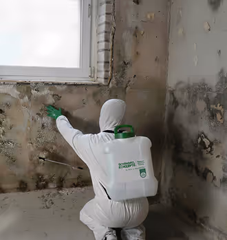 Entwicklung von Sanierungskonzepten nach Schimmel- und Feuchteschäden