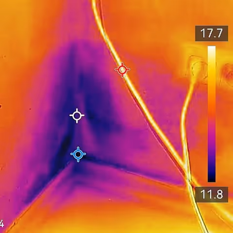 Thermografische Messung zur Erkennung von Feuchte- und Wärmebrücken im Gebäude