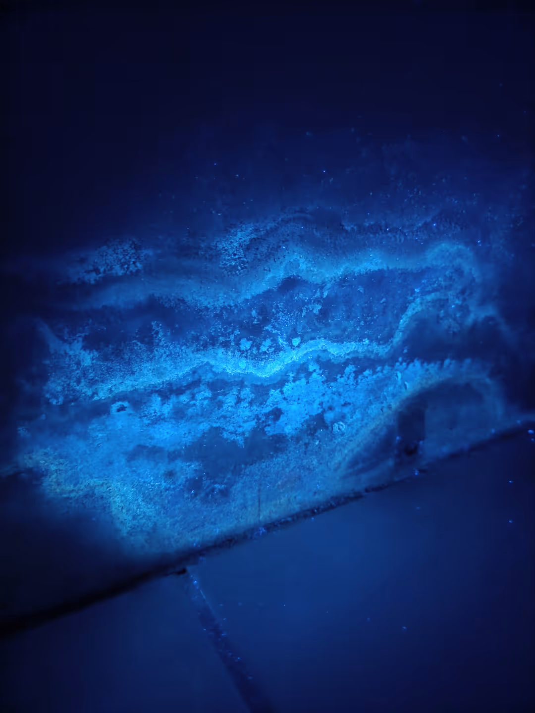 Fachliche Bewertung von Feuchte- und Gebäudeschäden durch Sachverständigen