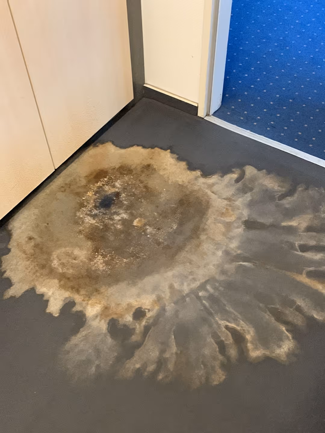 Sicherheit bei Immobilienentscheidungen durch qualifizierte Begutachtung