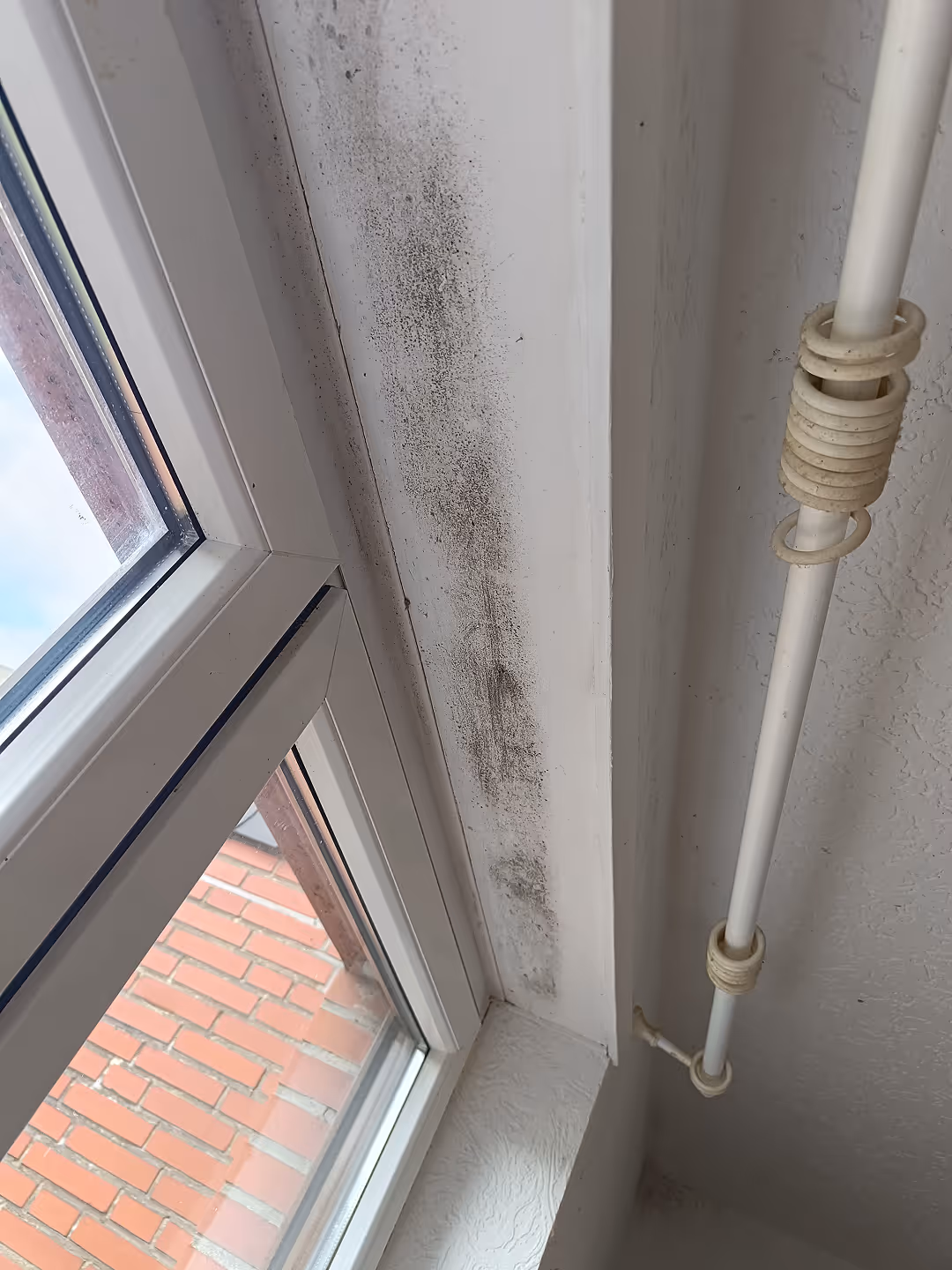 Unabhängige Unterstützung bei Sanierungskontrolle und Konfliktsituationen