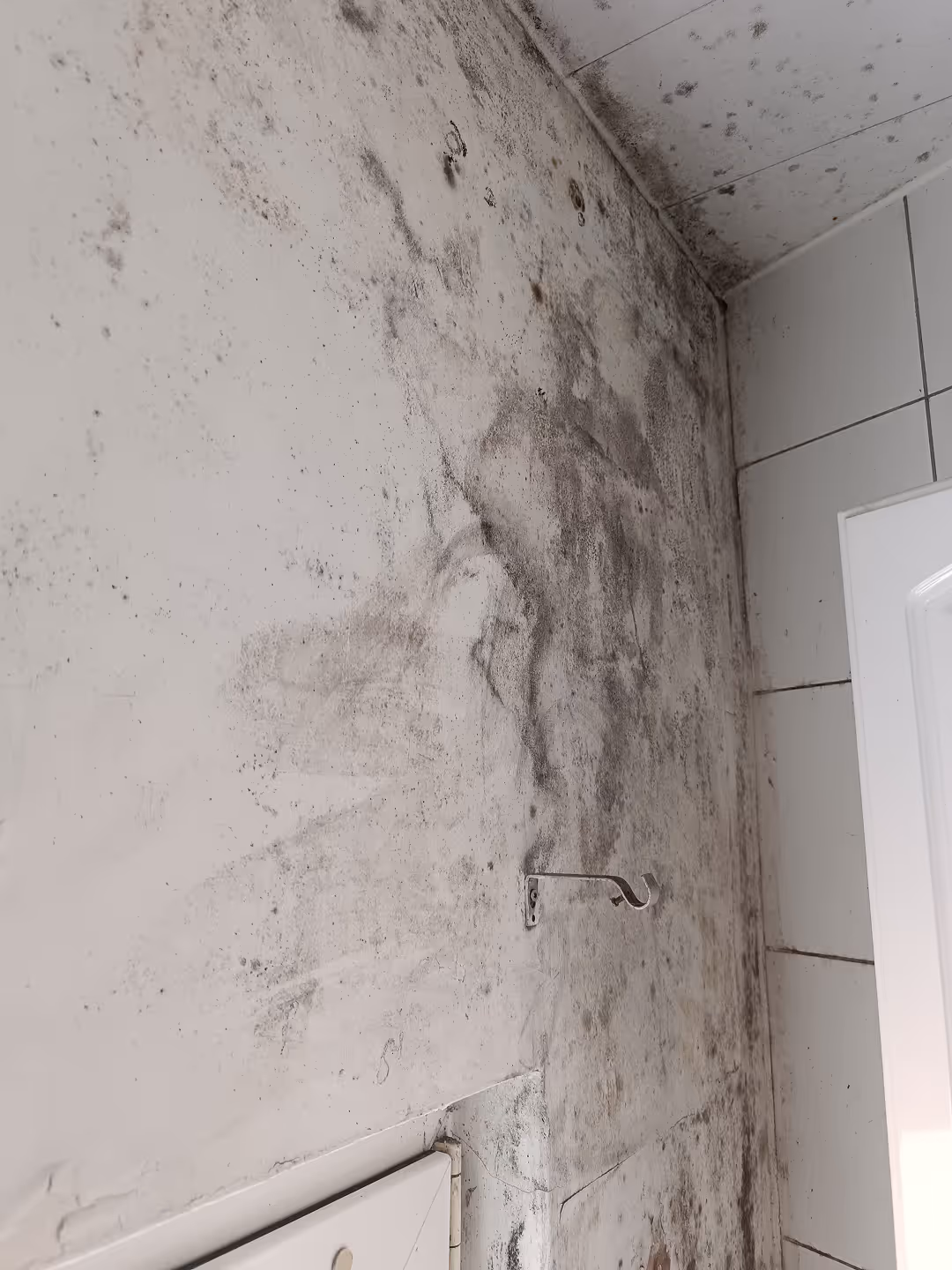 Technische Bewertung von Schäden zur Vermeidung von Fehlentscheidungen