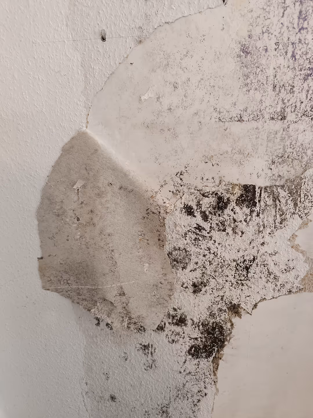 Neutrale Einschätzung bei bautechnischen Unstimmigkeiten und Streitfällen