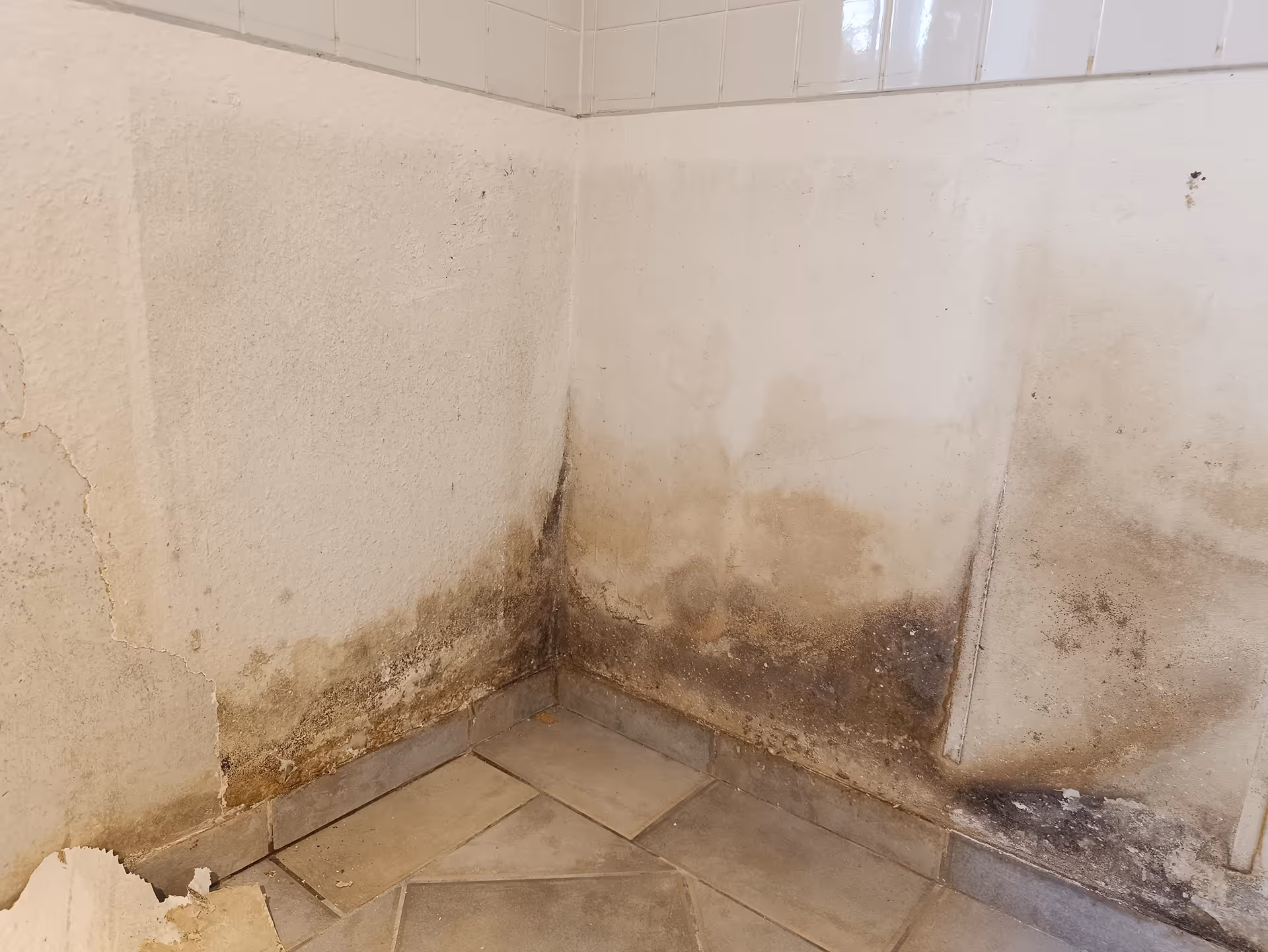 Klare Entscheidungsgrundlage durch fachliche und neutrale Analyse