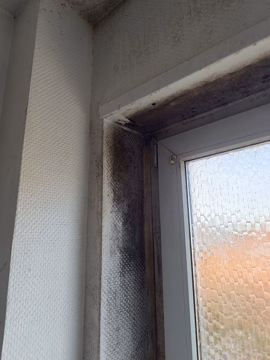 Typische Schimmelschäden Mönchengladbach