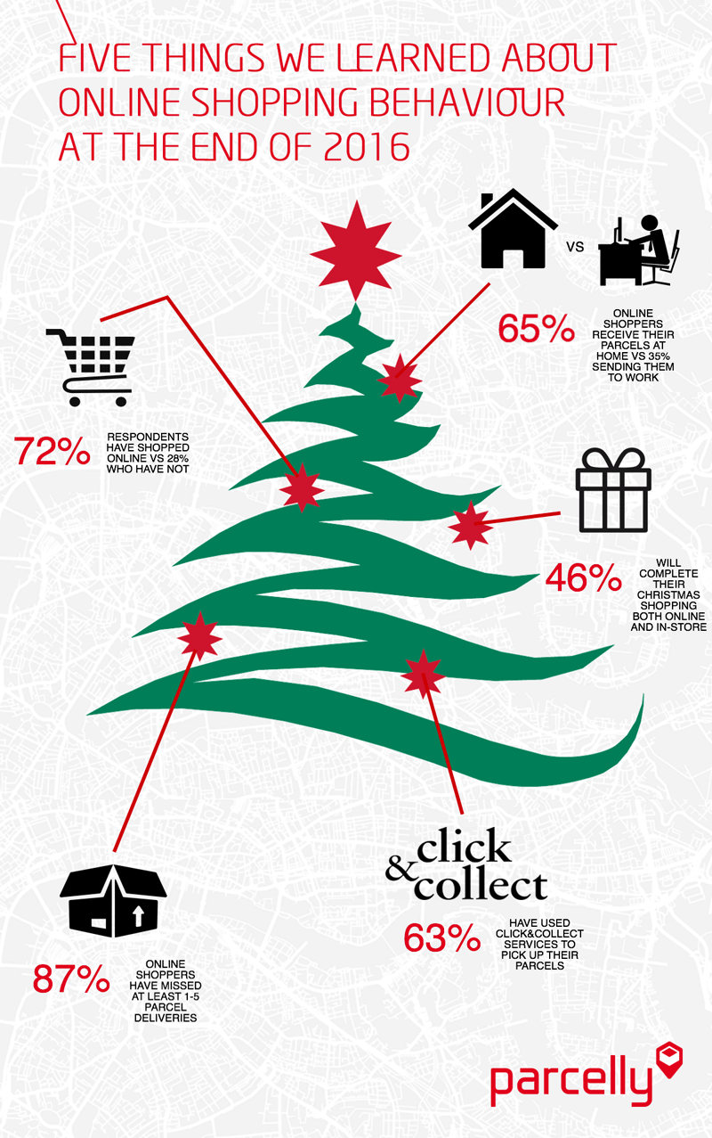 Parcelly MarketResearch Infographic2