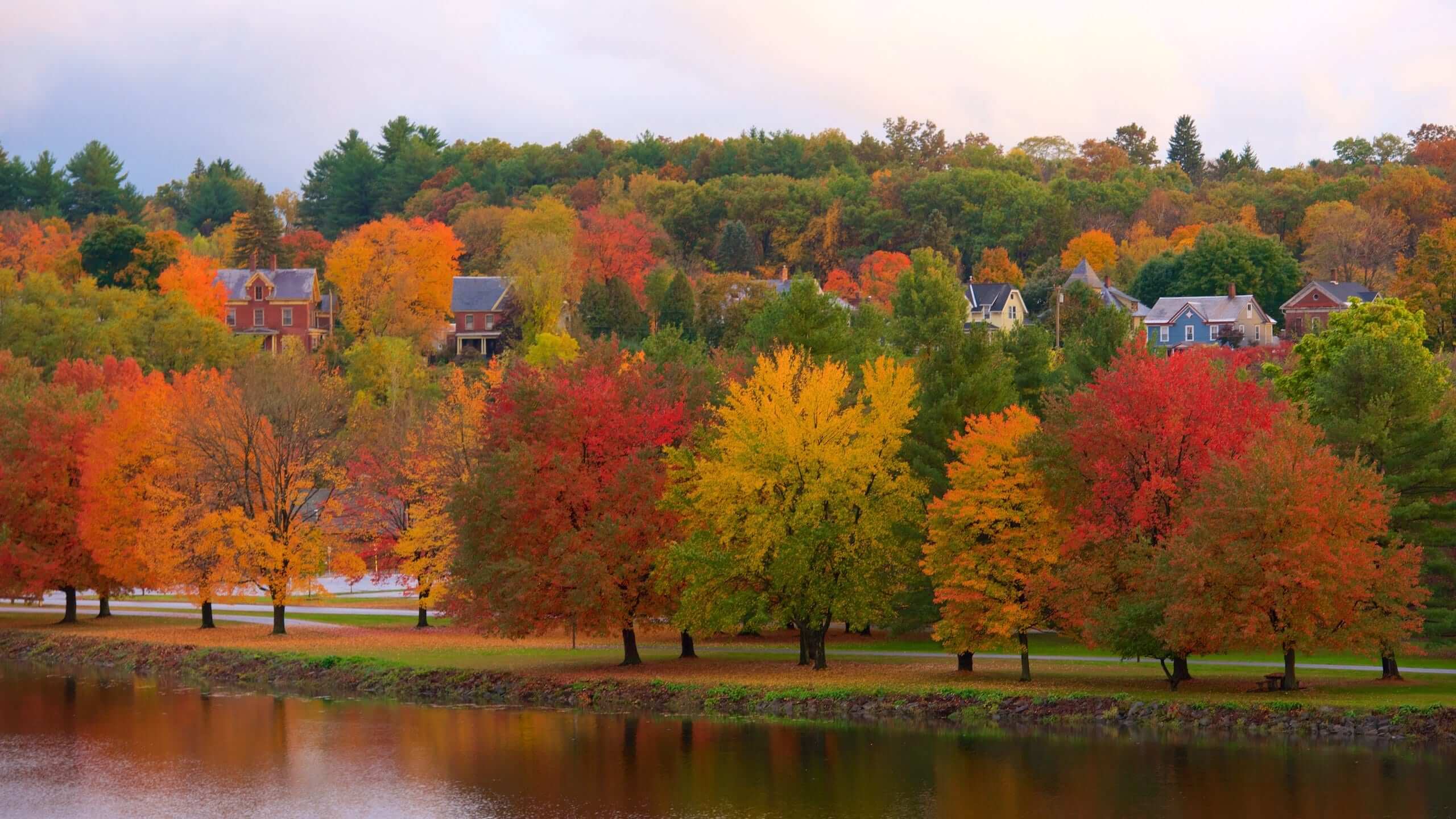 Colorful autumn trees with orange, red, and yellow leaves along a riverside with houses in the background.