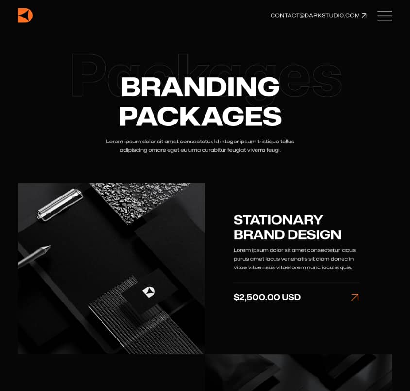 Darkstudio X - Packages Page - Branding Studio Webflow Template