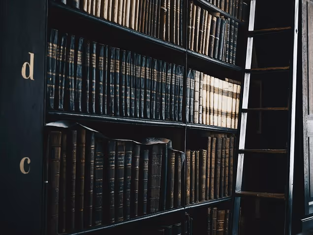 Pravna literatura i dugogodišnja stručnost advokatske kancelarije Aleksić u Nišu