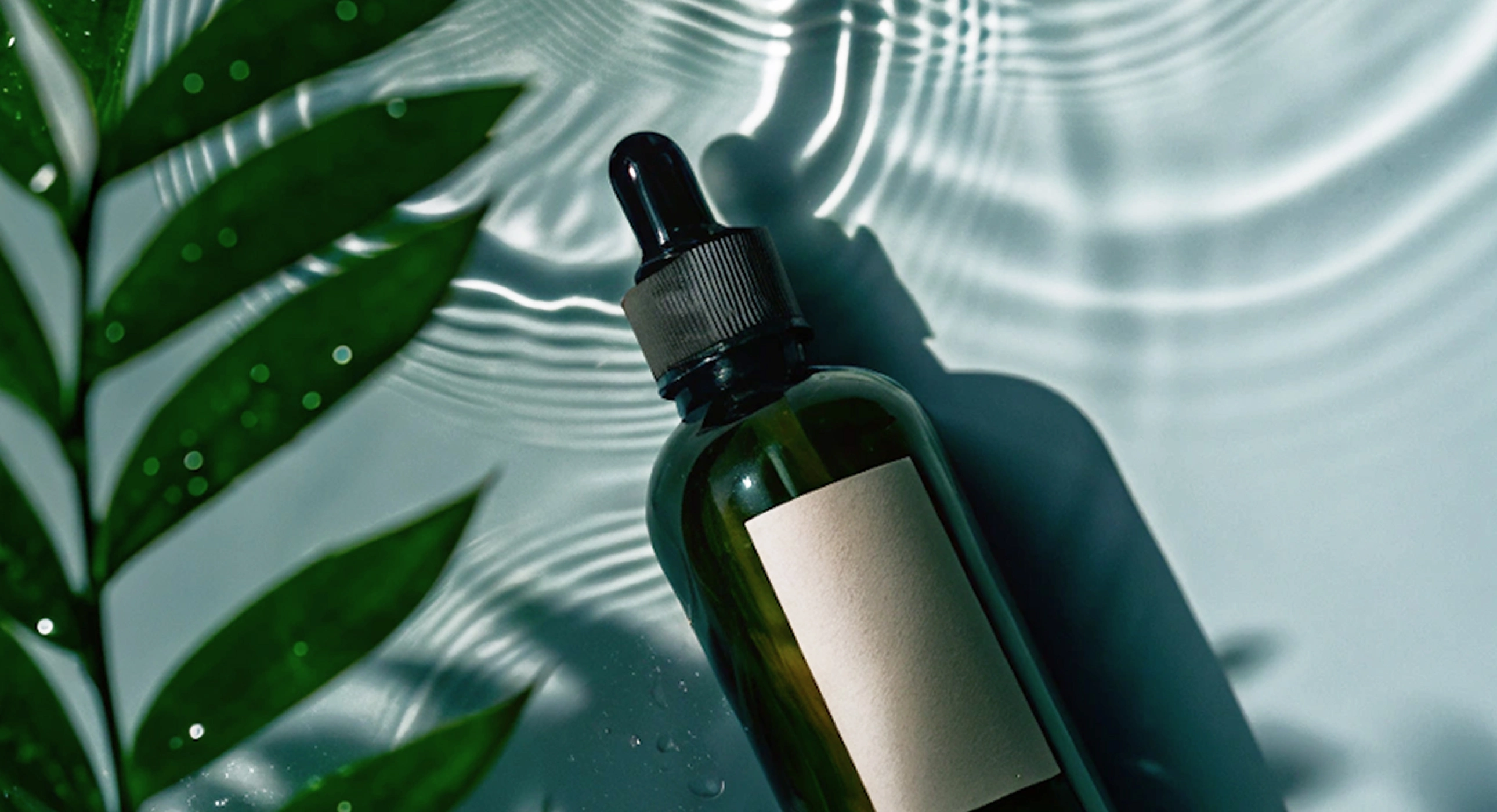 Portfolio card image