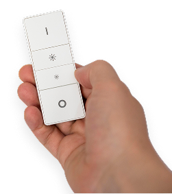 Smart Access Remote