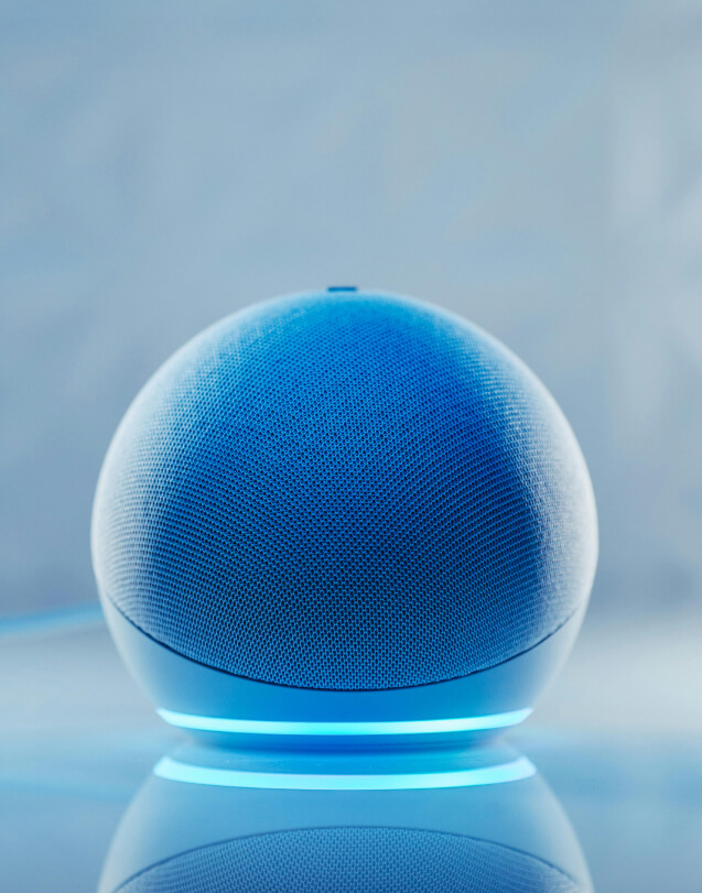 Smart Home Voice Control Speaker