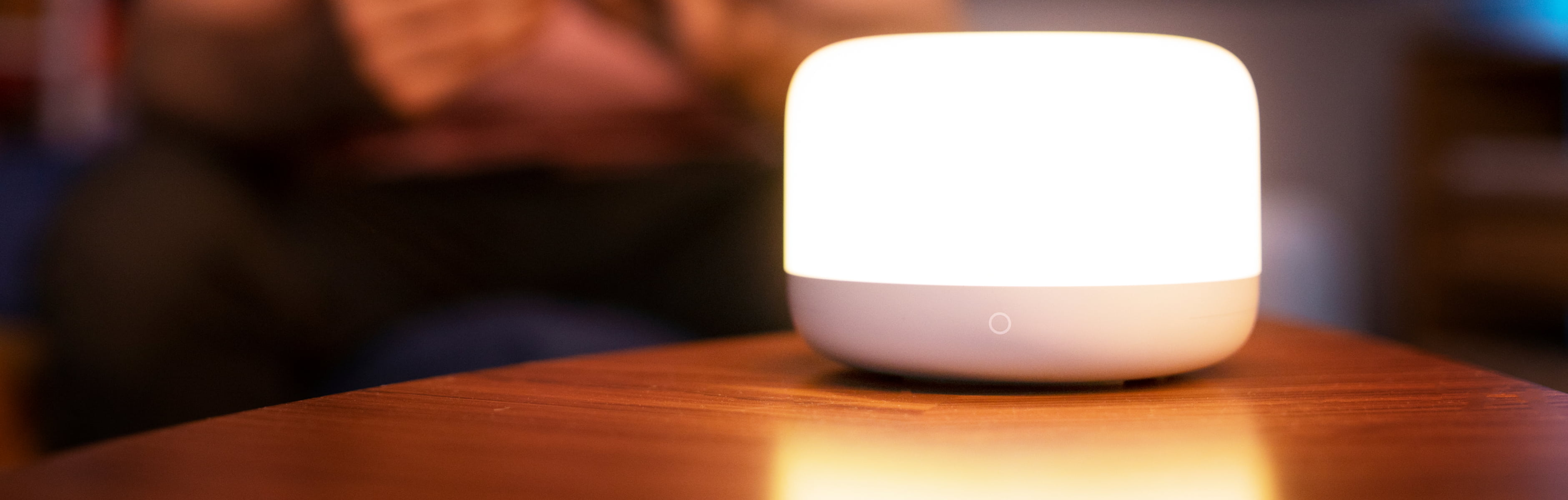 Smart Home Voice Assistant