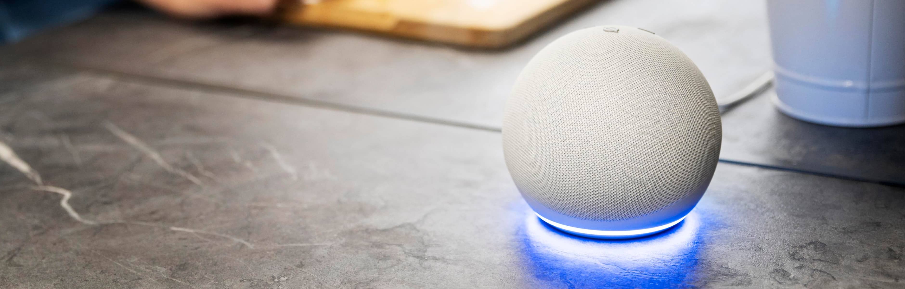 Minimal Smart Speaker