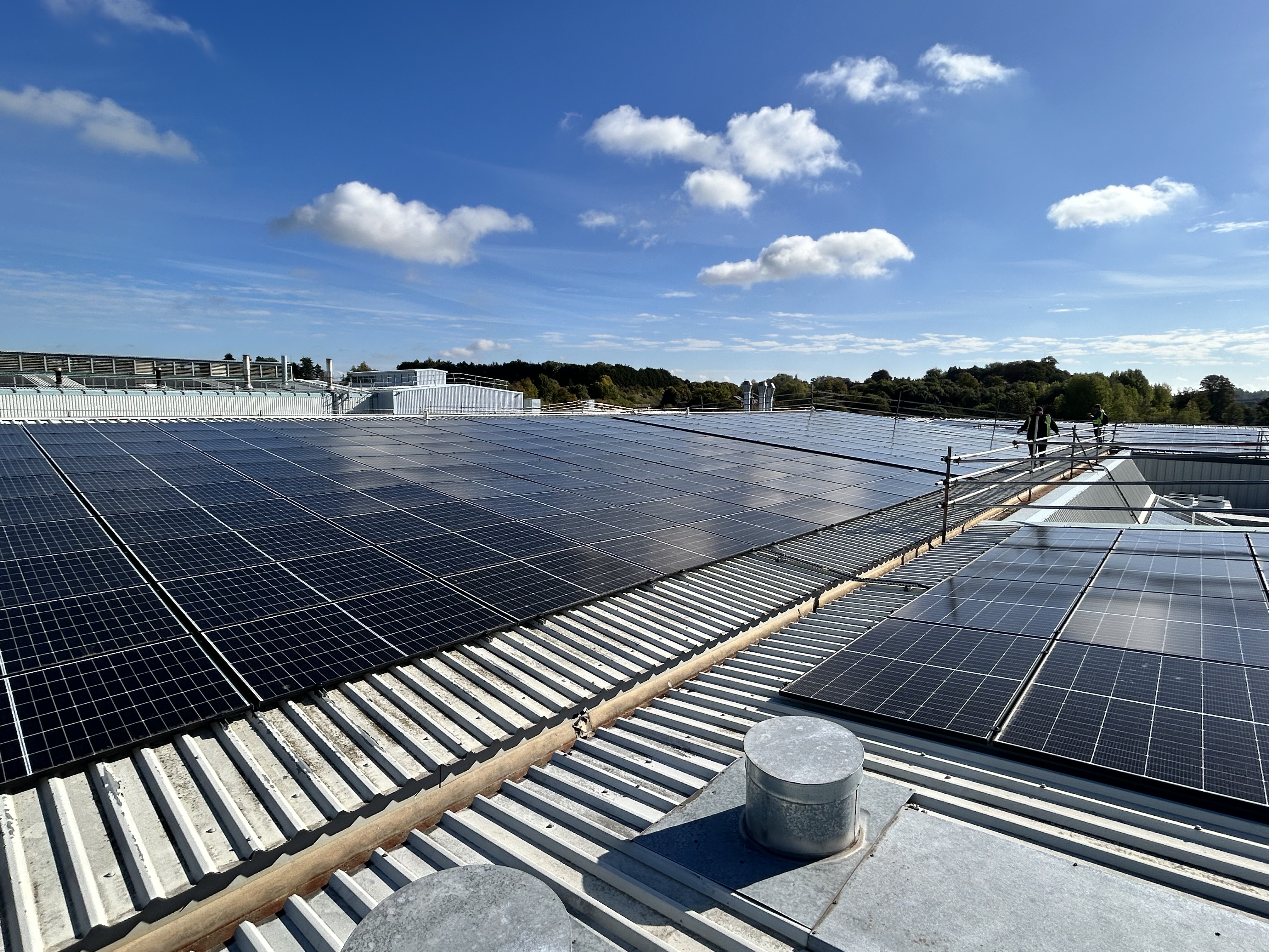 image of fresh produce display for a grocery store