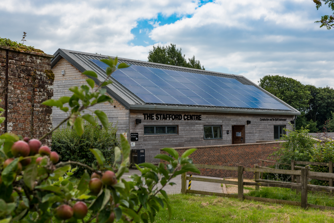 image of a beautifully plated sushi dish (for a japanese restaurant)