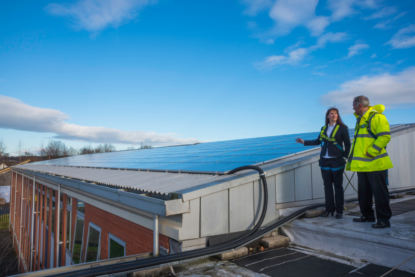 image of fresh produce display for a grocery store