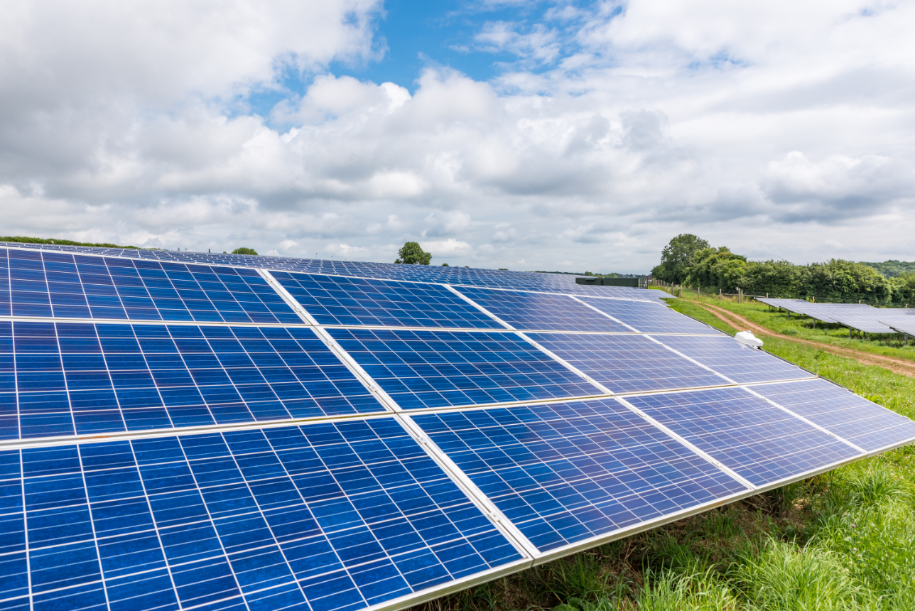 image of fresh produce display for a grocery store
