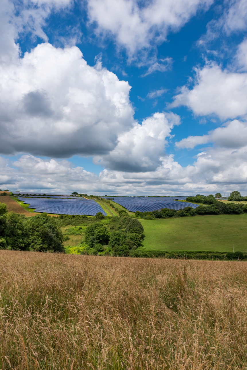 image of automated monitoring system in food and agtech