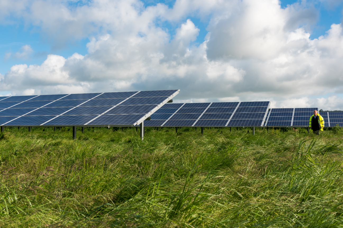 image of fresh produce display for a grocery store