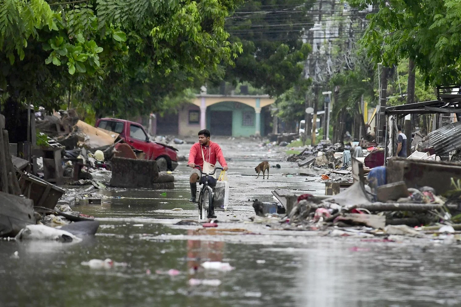 Man riding a bicycle through a flooded street lined with debris and damaged vehicles.