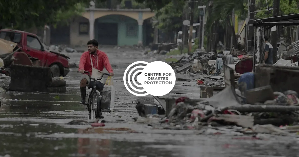 Publications | Centre for Disaster Protection