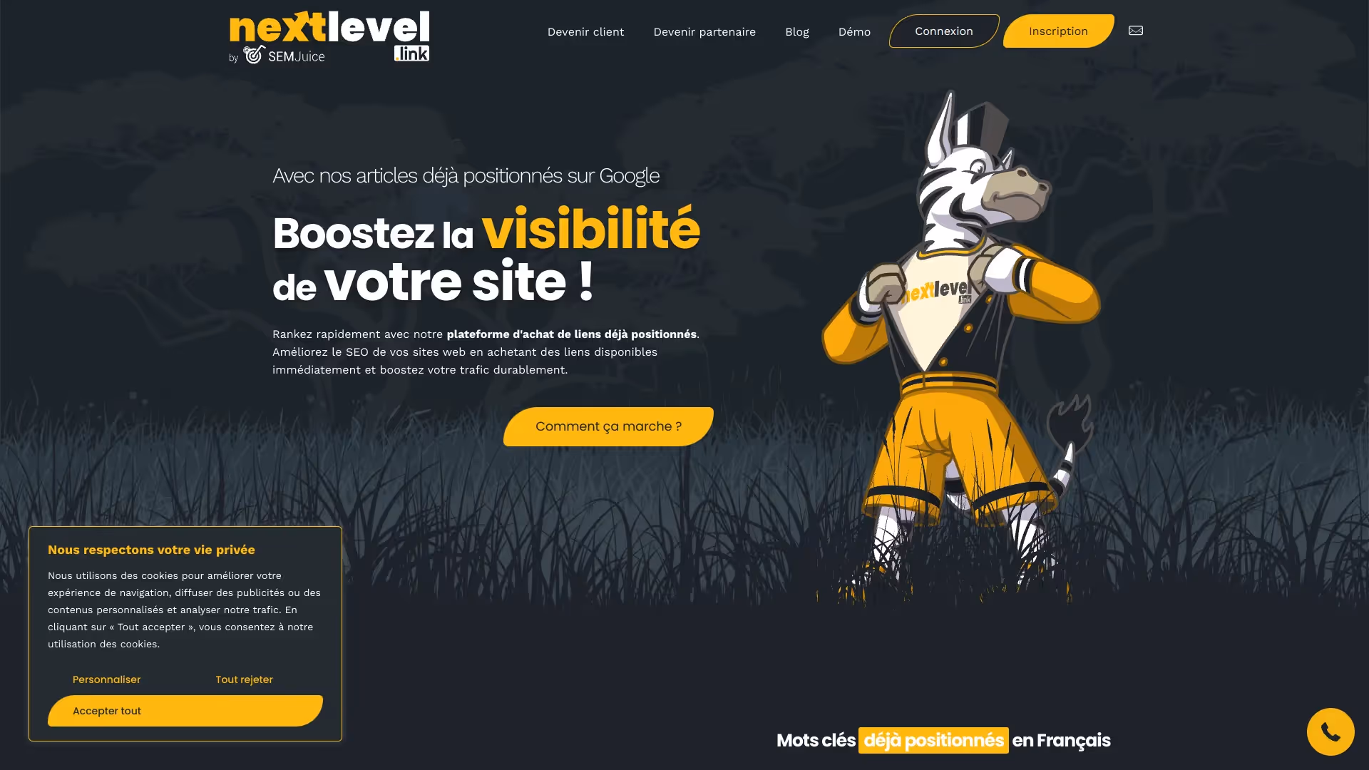 Nextlevel plateforme de netlinking