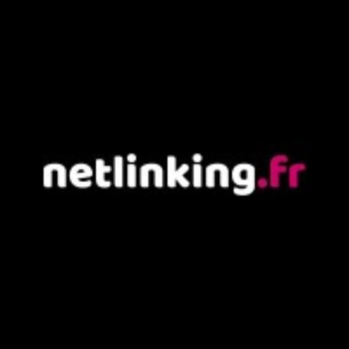 Netlinking