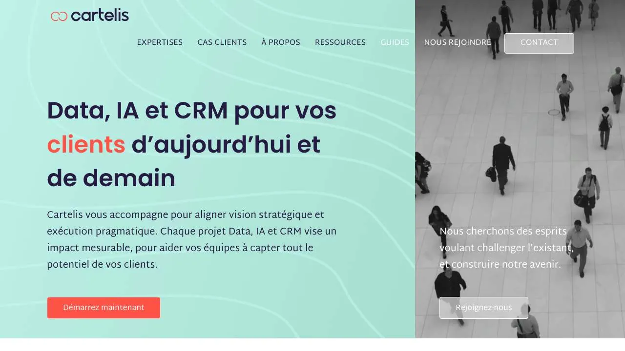 Startseite der Website der Daten- und CRM-Beratung Cartelis