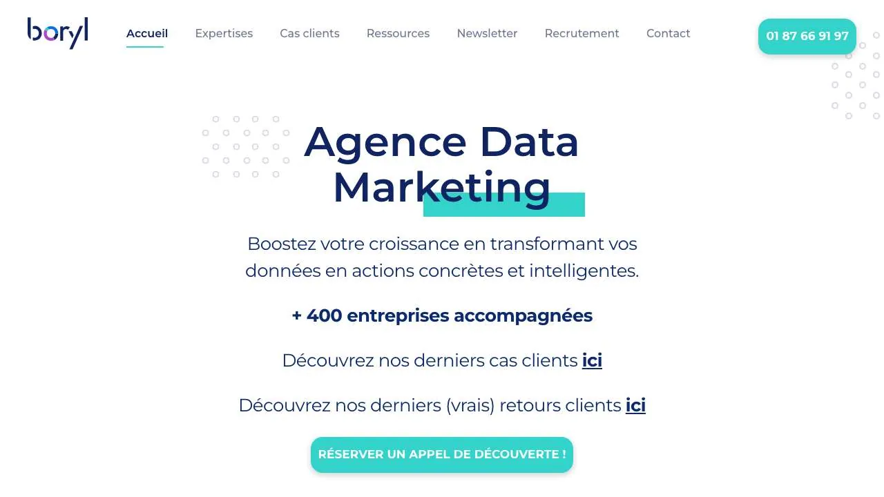 Startseite der Website der Datenmarketing-Beratung Boryl