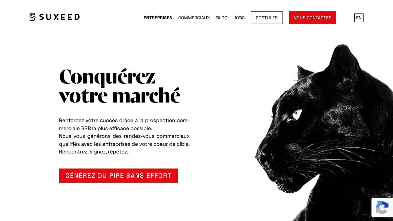 Startseite der Website der B2B-Vertriebsagentur Suxeed