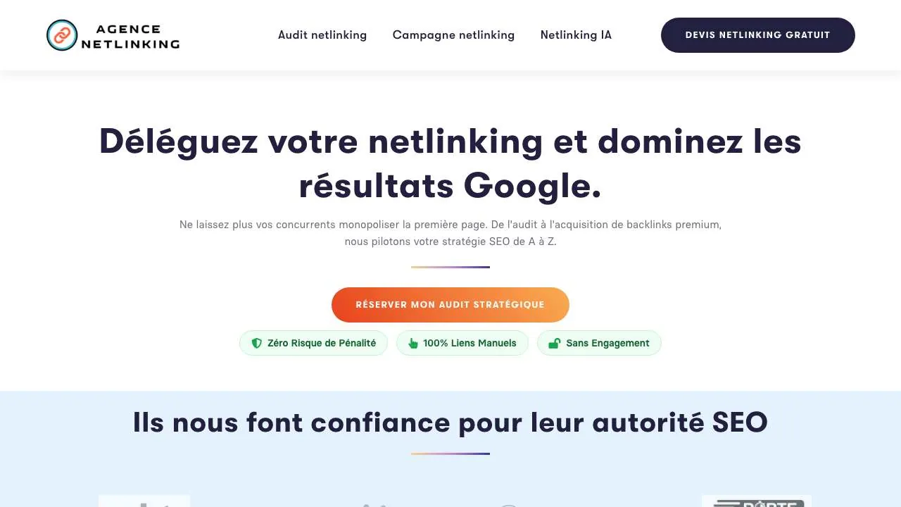 Startseite der Website der Linkbuilding-Agentur NetlinkSEO