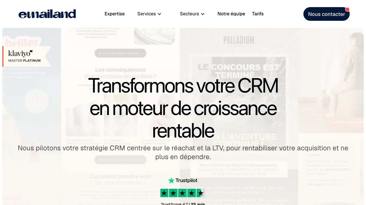 Startseite der Website der CRM-Agentur Emailand