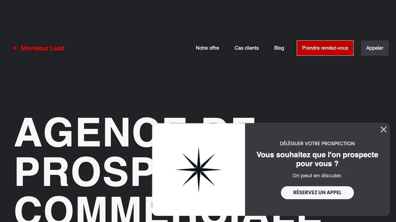Homepage of the Monsieur Lead B2B prospecting agency website