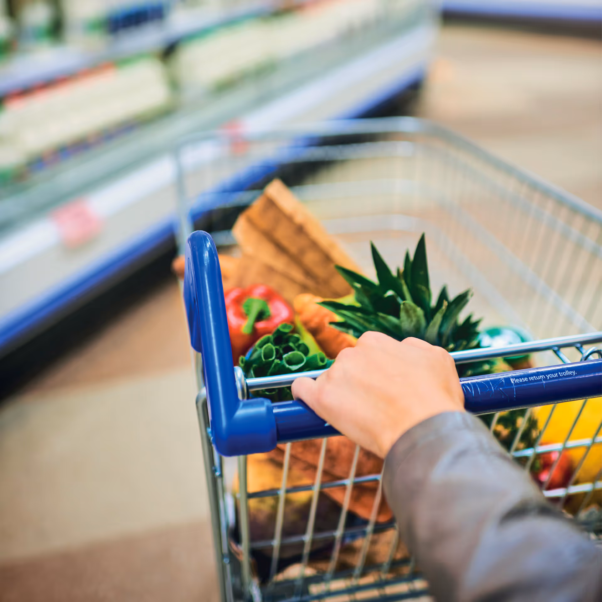 Groceries shopping cart