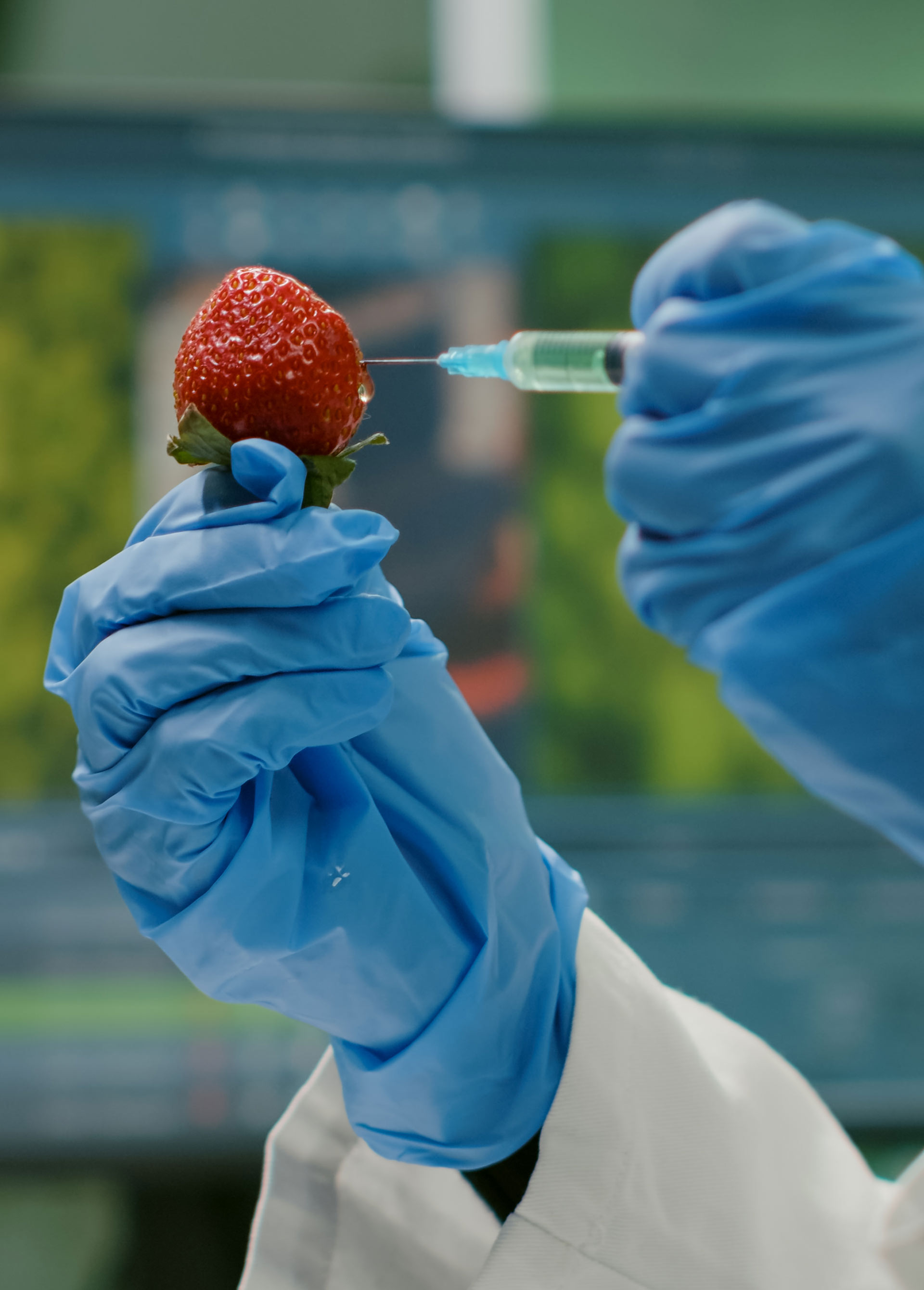 food science experiment involving a strawberry