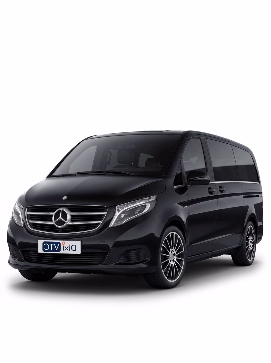 Mercedes Viano