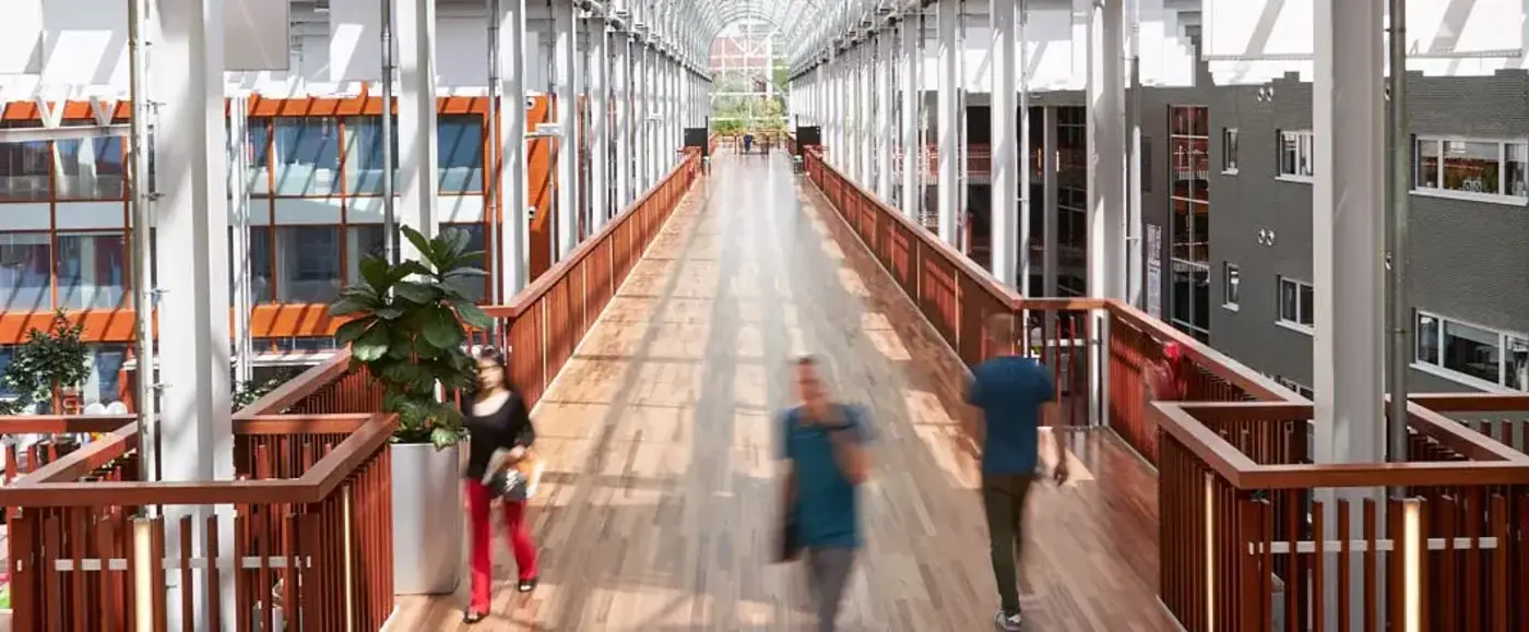Deltion faciliteiten brug