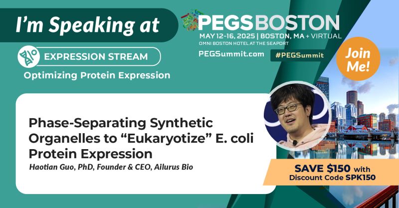 image of brainstorming session (for a productivity tools business)