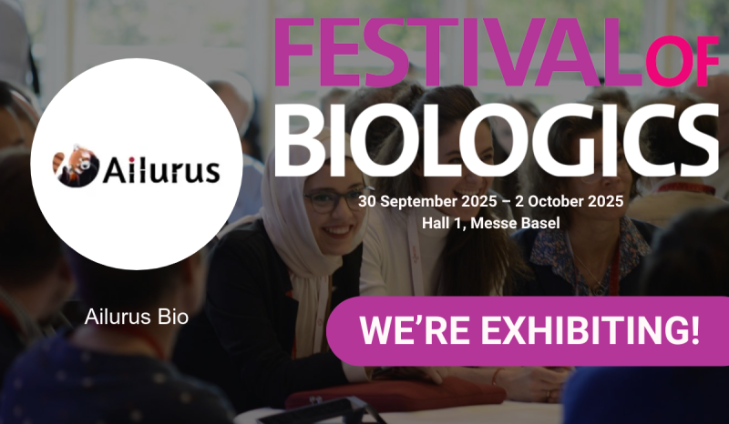 image of brainstorming session (for a productivity tools business)