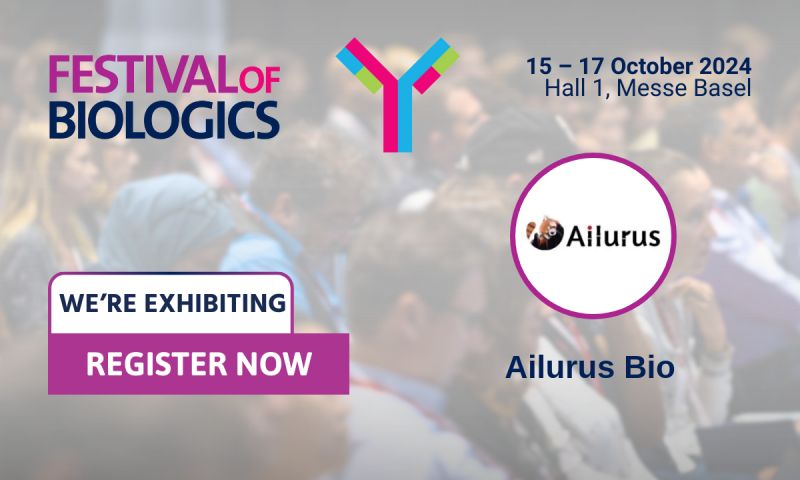 image of brainstorming session (for a productivity tools business)