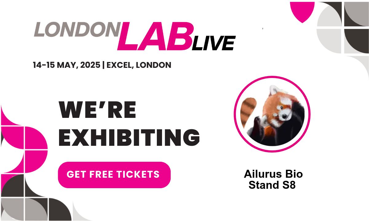 image of brainstorming session (for a productivity tools business)