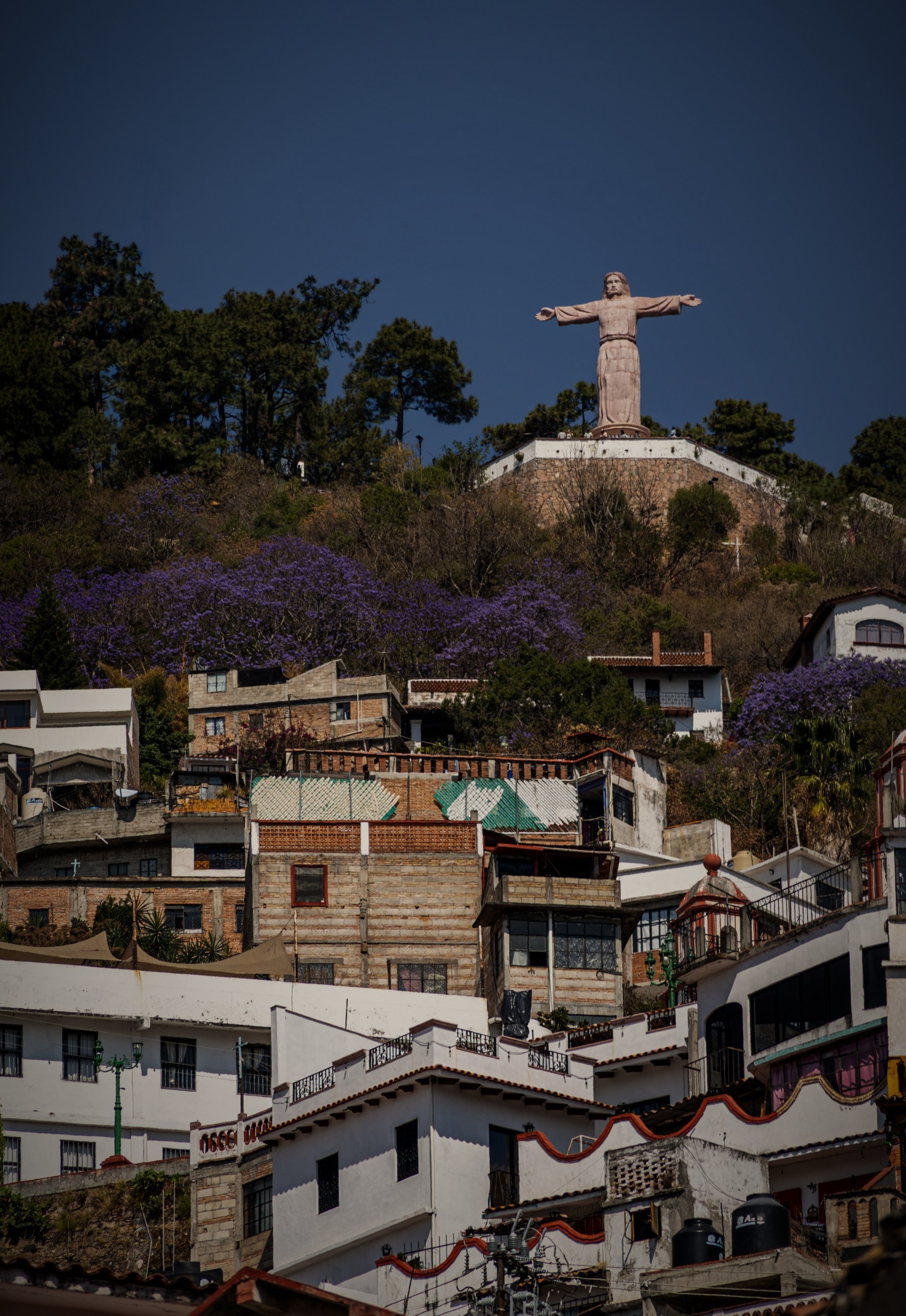 Cristo statue above Taxco among blooming jacaranda