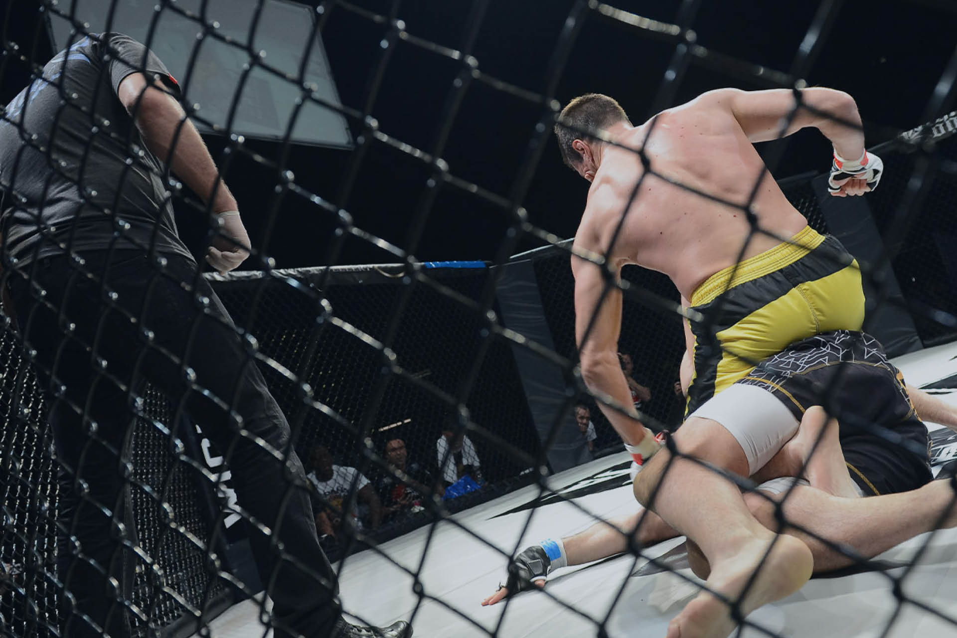 MMA and jujitsu injury treatment at North Down Chiropractic & Physiotherapy, Bangor