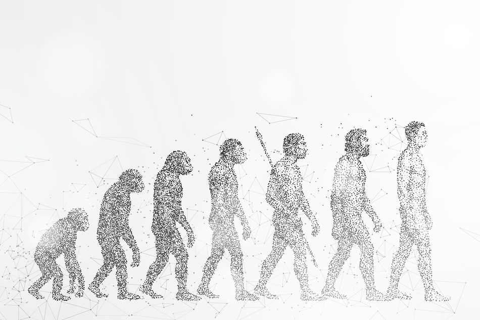 7 stages of evolution from ape to human