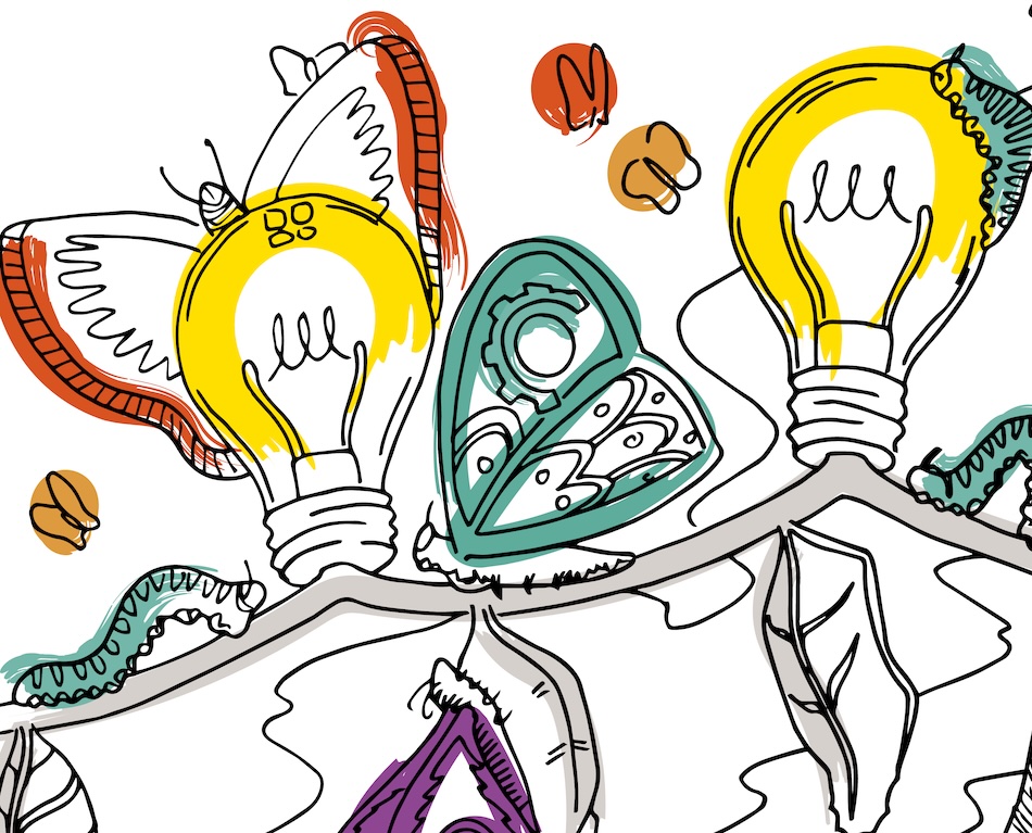 Hand drawn butterfly and lightbulb illustration