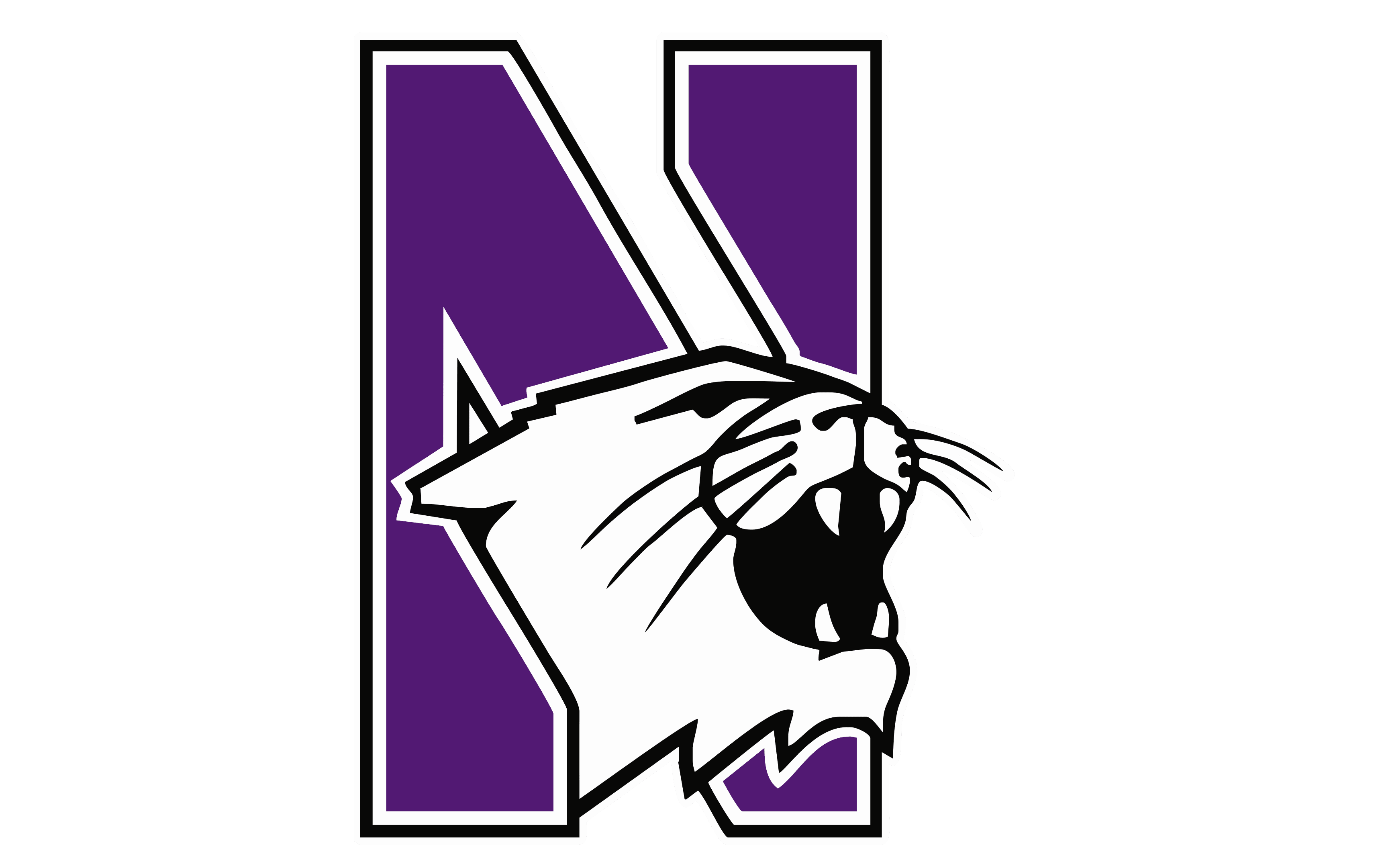Purple letter N with a white wildcat head roaring in front of it.