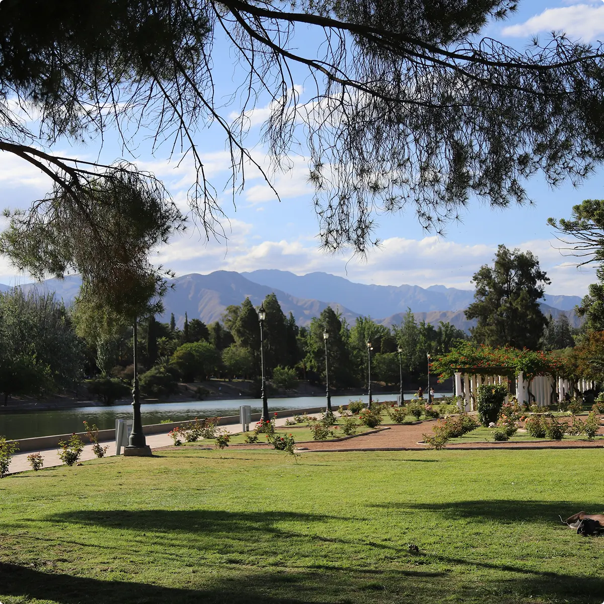 Scenic park with green lawn, trees, a river, lampposts, and mountains under a blue sky.