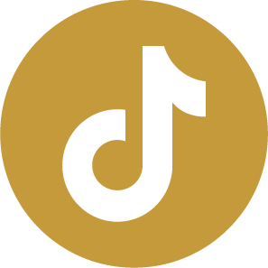 TikTok Logo