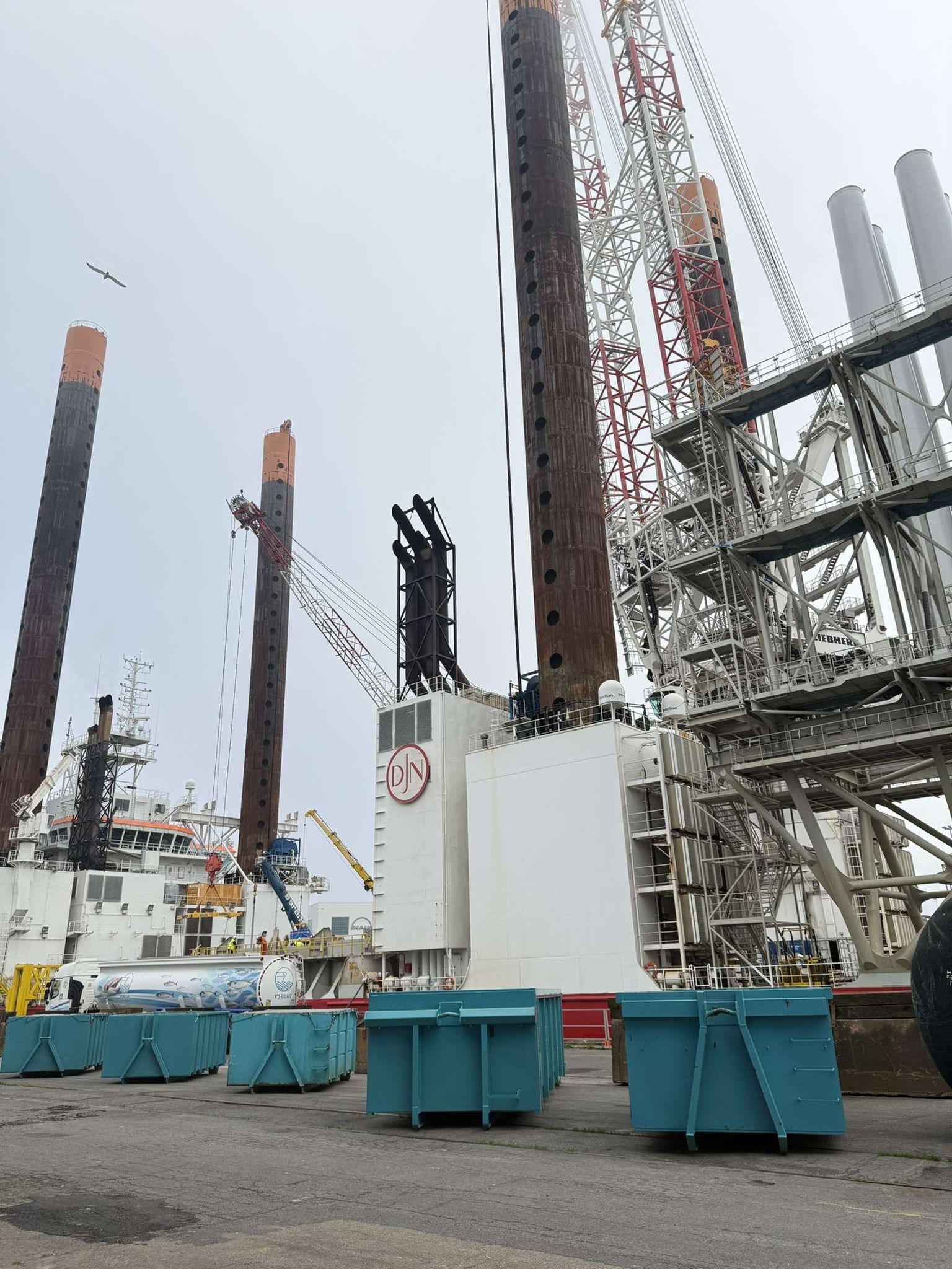 image of a unique beer tap handle collection